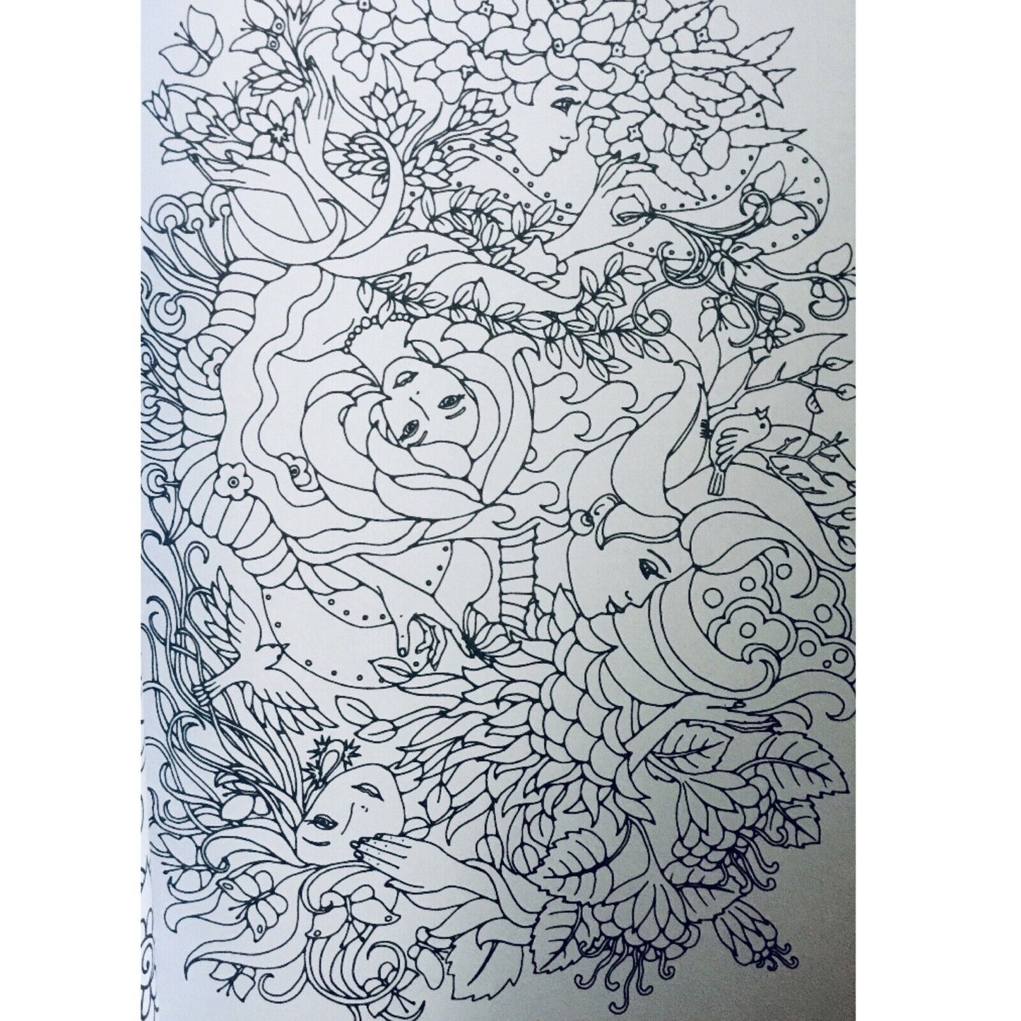 Deco Time Adult Colouring Book 160 pages of DeStressing Colouring for Adults