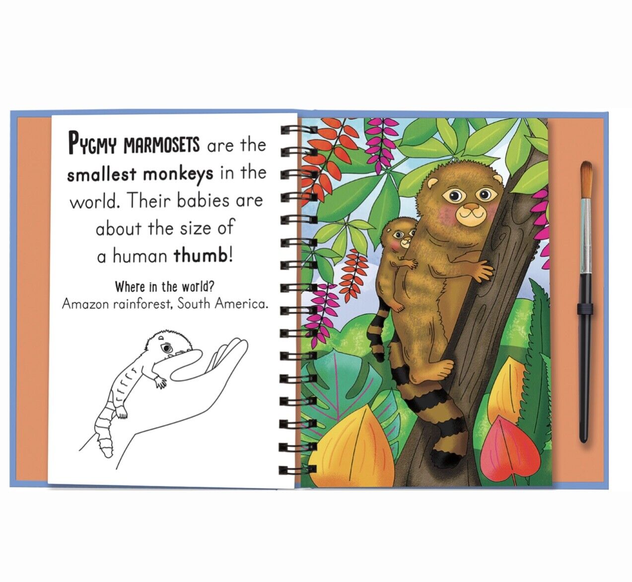 Magic Water Colouring Baby Animals or Fashion with Brush