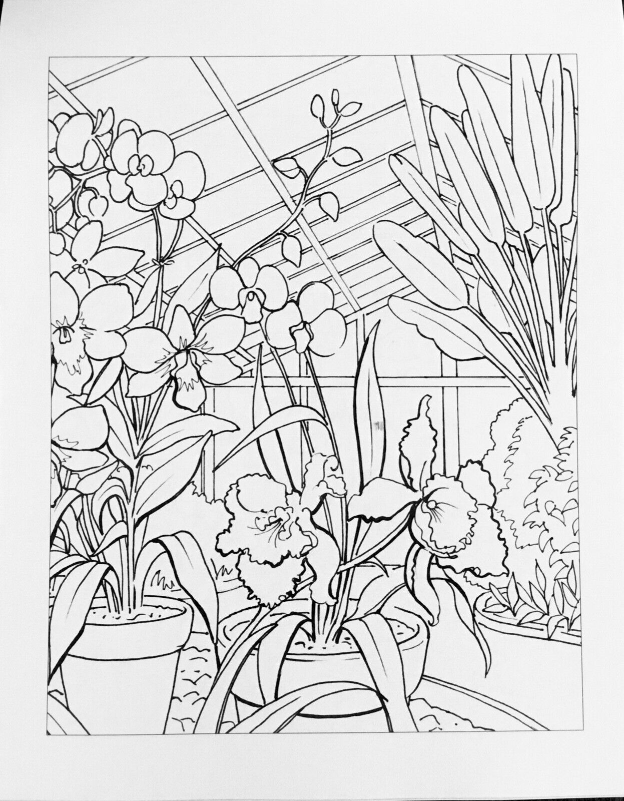 Classic Adult Colouring Book - DeStressing Colouring for Adults