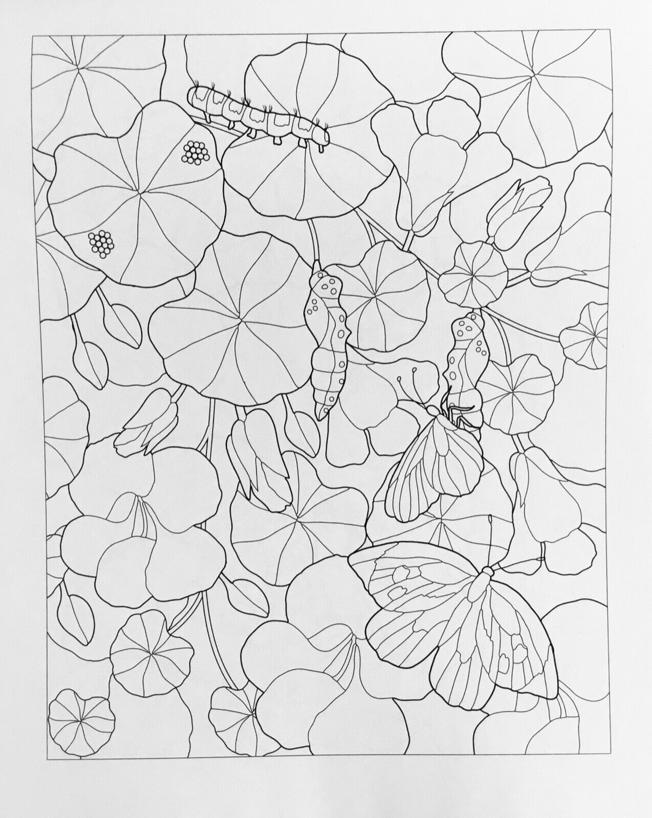 Classic Adult Colouring Book - DeStressing Colouring for Adults
