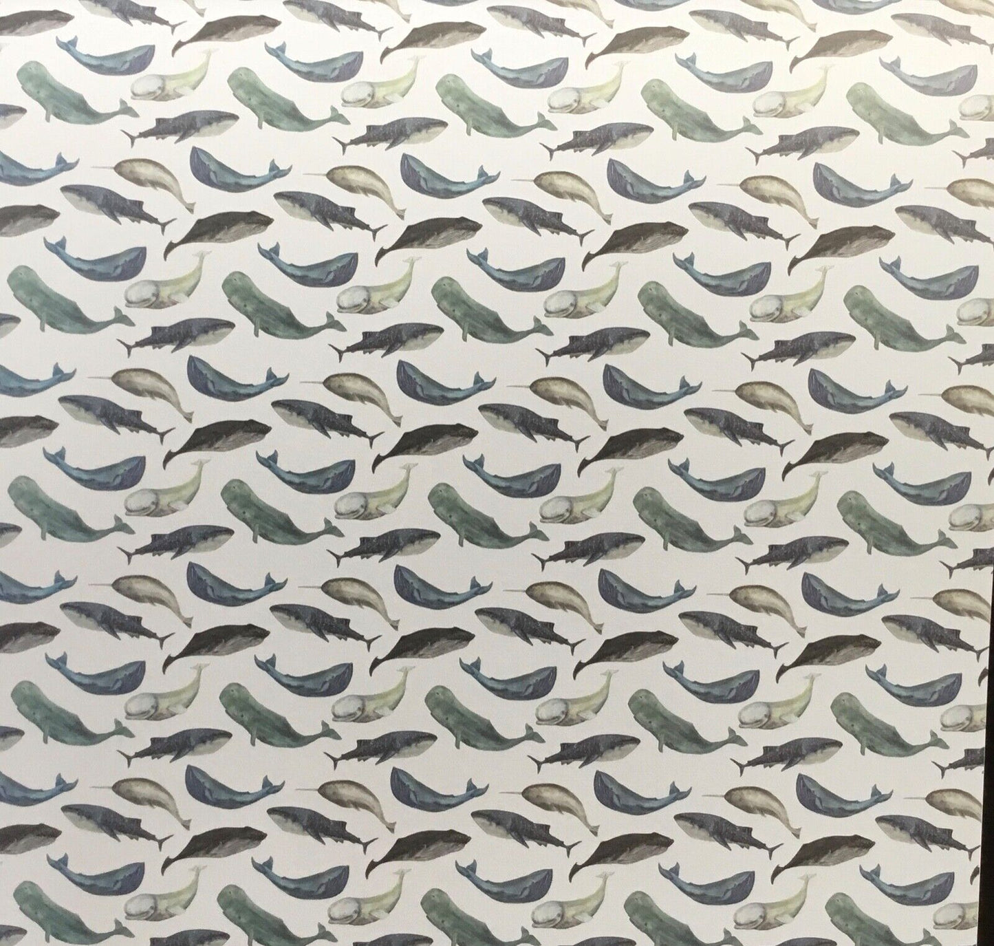 Deep in the Ocean Mix & Match 20 page Design Pad for Paper Craft - 30cm x 30cm