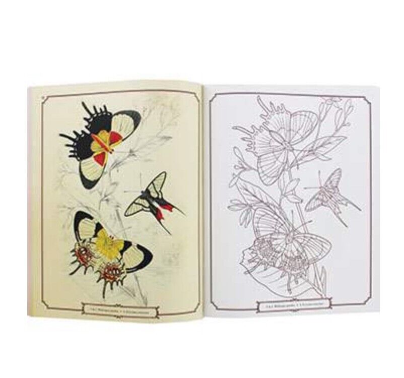 Beautiful Butterflies Colouring Book for Adults - with Colour Guide by Arcturus