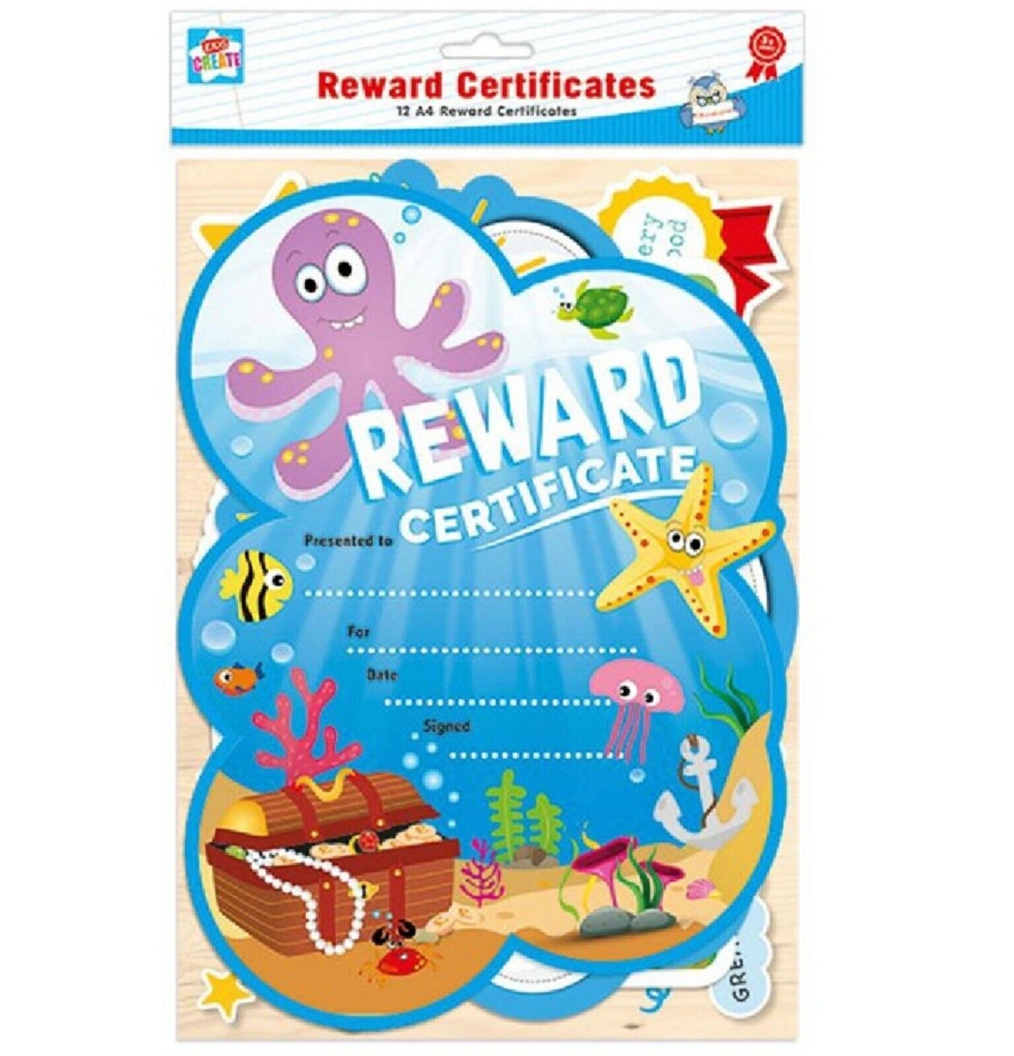 12x Kids A4 Reward Certificate