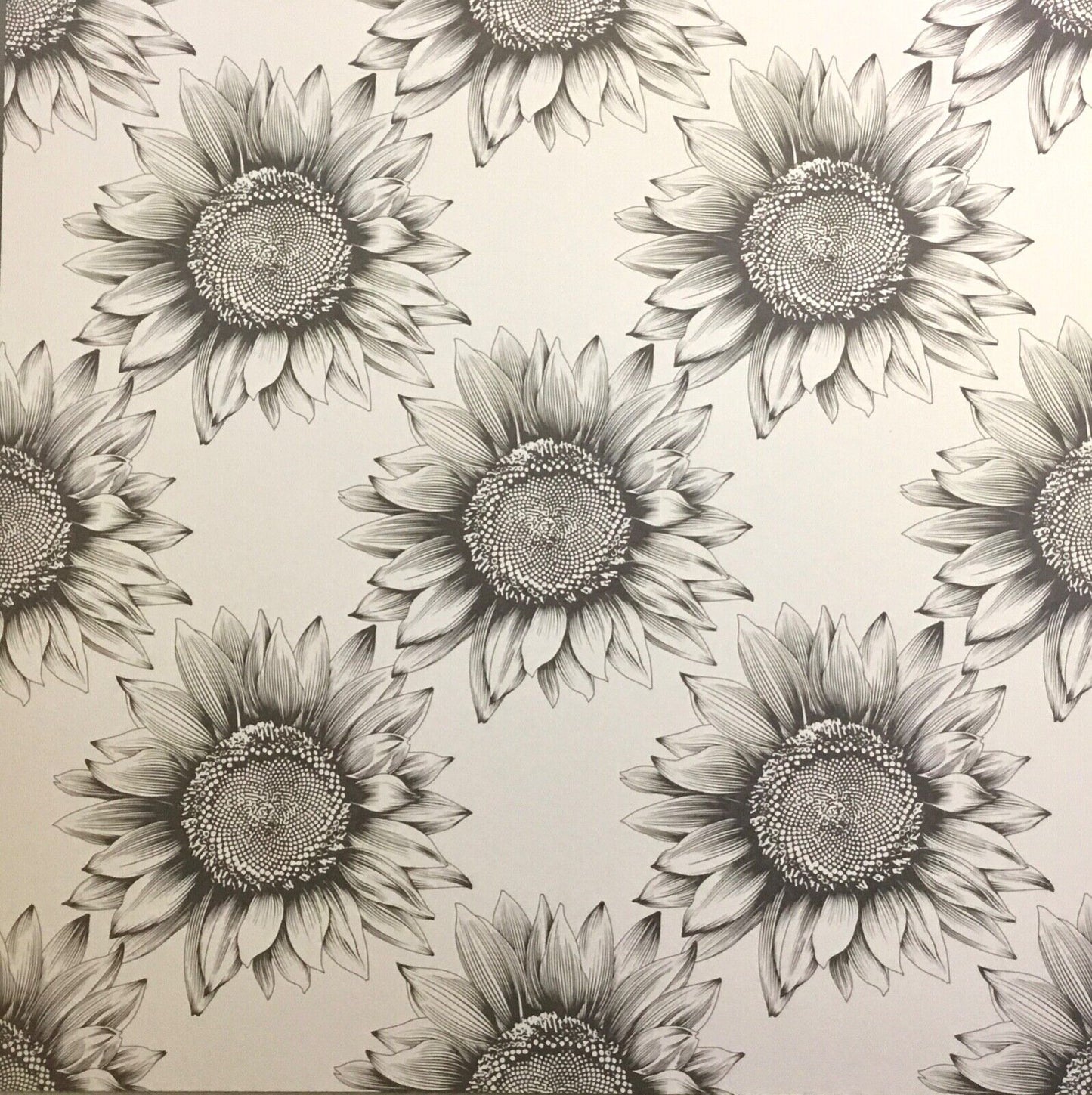 1x Follow the Sun 24 Sheet Design Pad Paper Craft- 30cm x 30cm
