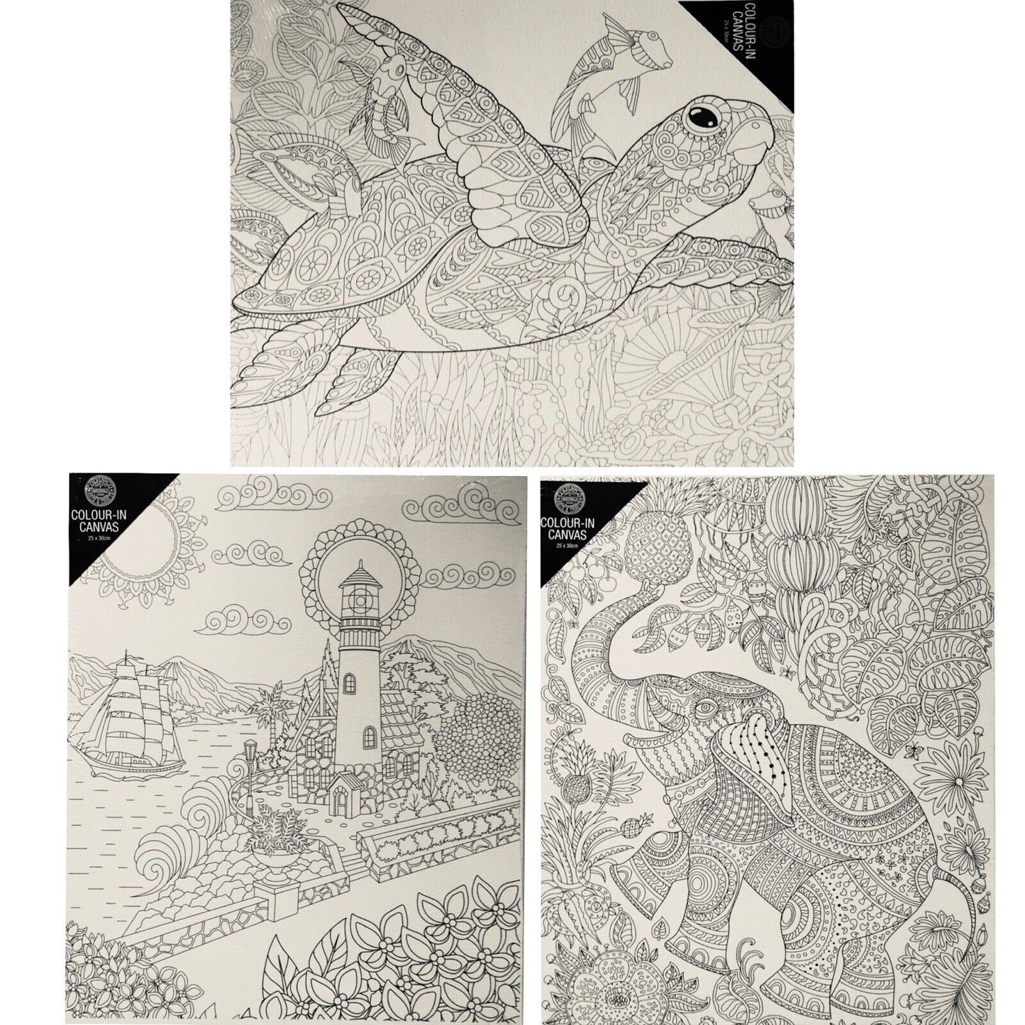 1x Colour-in Paint Your Own Canvas 25x30cm - Choose Your Design