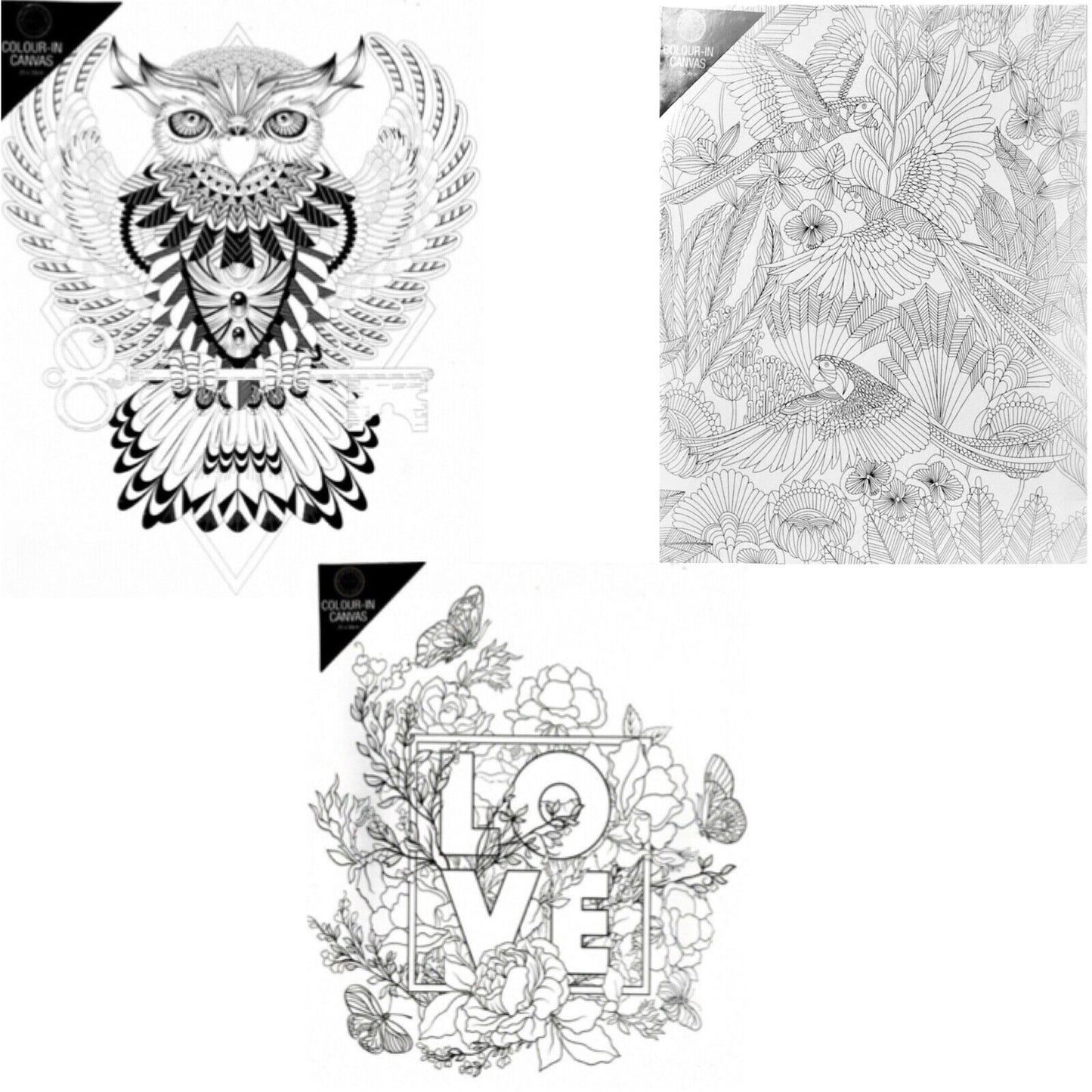 1x Colour-in Paint Your Own Canvas 25x30cm - Choose Your Design