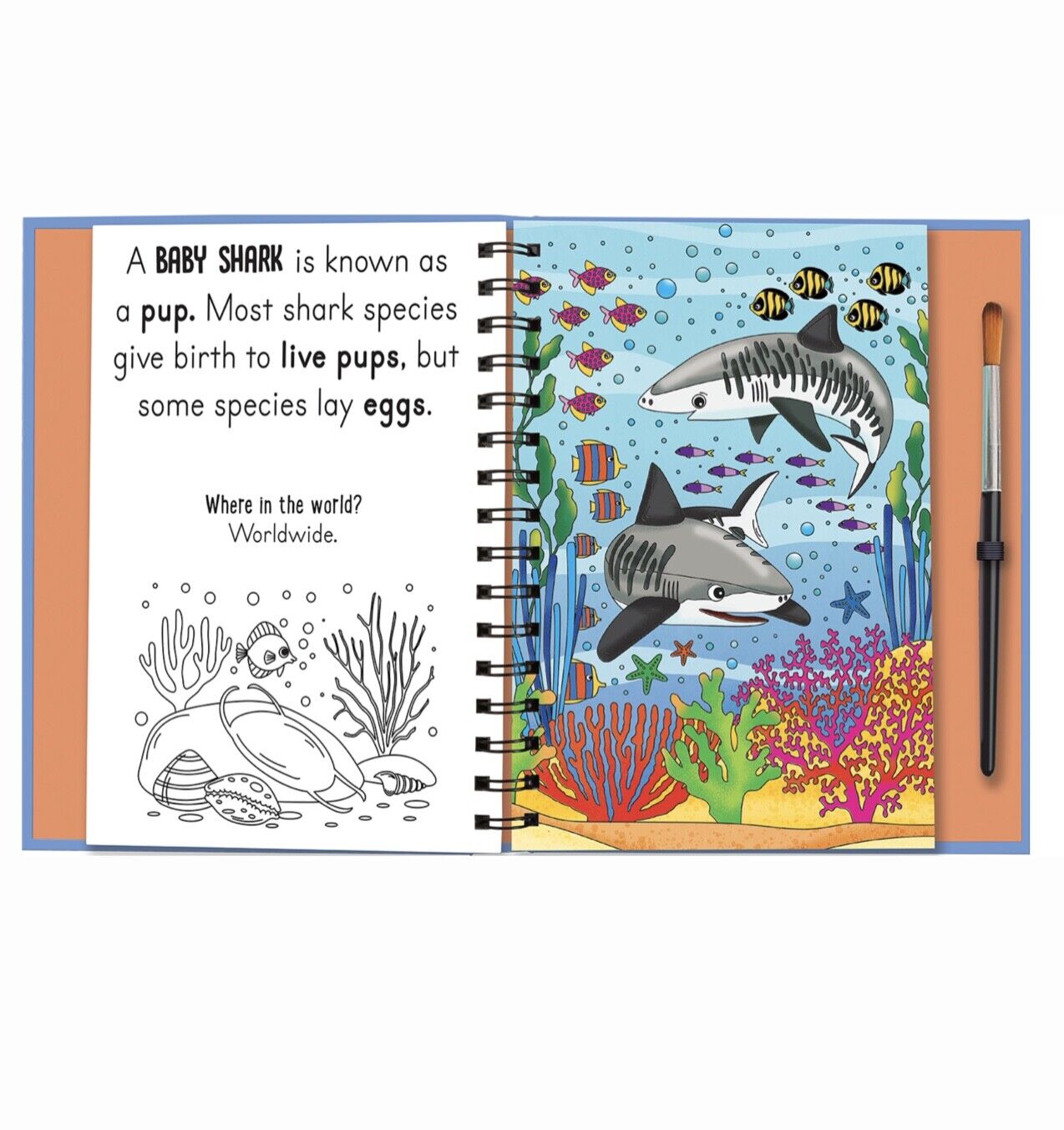 Magic Water Colouring Baby Animals or Fashion with Brush
