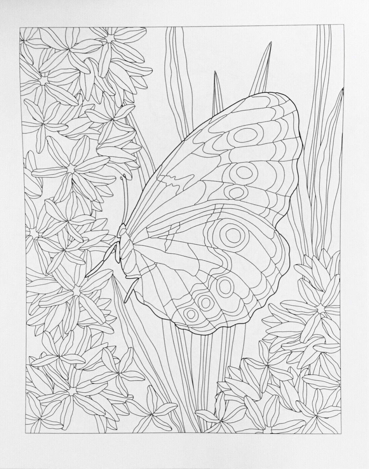Classic Adult Colouring Book - DeStressing Colouring for Adults
