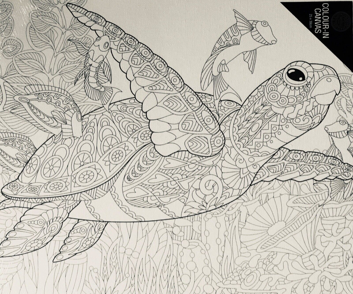 1x Colour-in Paint Your Own Canvas 25x30cm - Choose Your Design