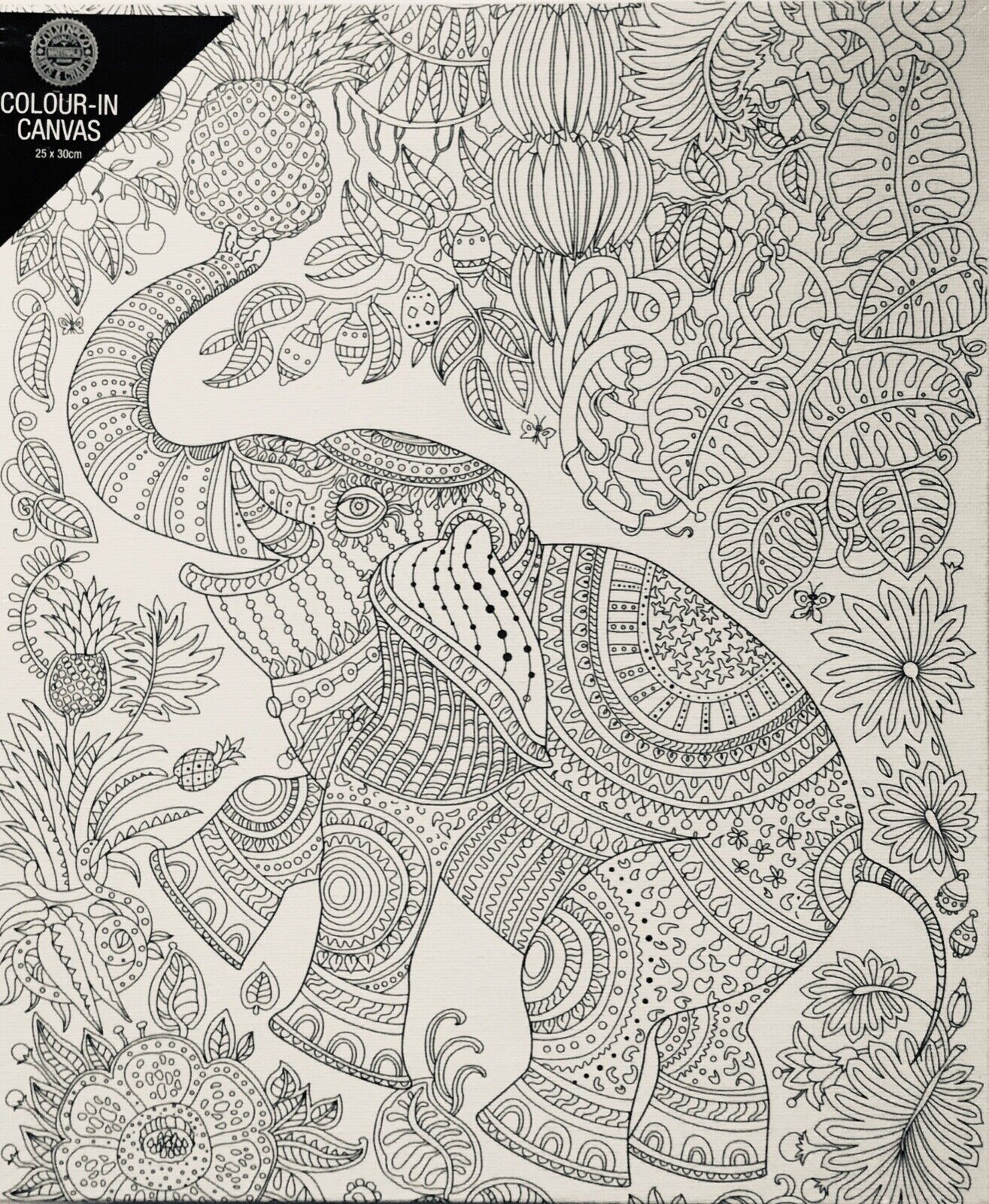 1x Colour-in Paint Your Own Canvas 25x30cm - Choose Your Design